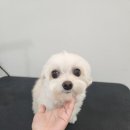 호두미용실