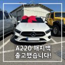 신성카라이프 | A220 해치백 출고 후기 ｜ 2026 메르세데스-벤츠 A클래스 정보 제원 포토 모의견적 평가