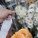 조은꽃 | 졸업식 꽃다발 준비 │ 춘천 꽃도소매 조은생화 투멘플라워 후기