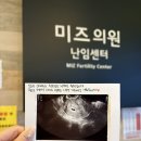 미스 미즈 산부인과의원 | 대전 난임병원 탄방 미즈의원 시험관 1차 성공 후기