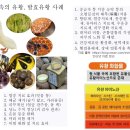 독인 유황을 명약으로 만들자! 유황발효 특허권자 이미지