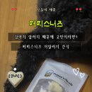 Puppy’s Needs 퍼피스니즈 후기｜저알러지 강아지간식 추천! 피쉬&amp;미트 치즈샌드·니즈 베지패티 급여리뷰