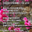 만화방창의 운향(韻響) 이미지