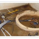 광천농장 이미지