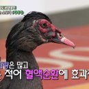 내몸에기러기