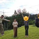 보르도애플스테이 이미지