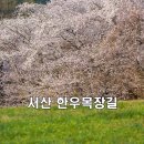 벚꽃한우 이미지