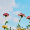 하늘요양보호사교육원 - 서대문구 수색로 28-3 | 하늘요양보호사교육원