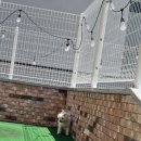 헤이퍼피 이미지