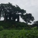 이교동일제군사시설 이미지