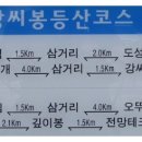 강씨봉자연휴양림 티스토리
