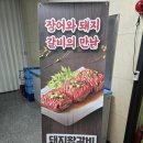 서파장어랜드 | 포천 맛집 서파장어랜드 단체모임 초벌장어 편함 후기
