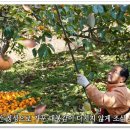 대봉농장 이미지