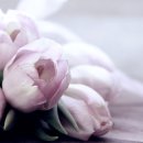 광명공판장 이미지