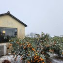 남원읍-96 이미지