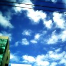 하늘이네 이미지