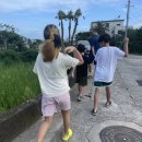 금능124 | 2024.07.27 제주도(금능해수욕장, 롯데아트빌라스)