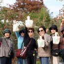 신동아축산 이미지