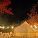 꿈엔들 캠프장 이미지