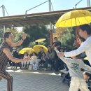 해남공룡박물관 이미지