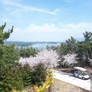 그늘막132 이미지