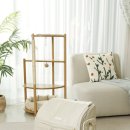 레인 켄넬 이미지