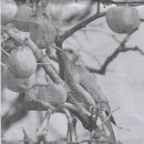 민중농장 이미지