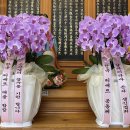 539. 방종한 마음 (글 - 승원스님) 이미지
