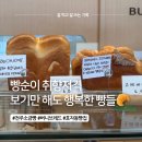 버니브레드 | 전주 버니브레드 포장 후기, 빵 좋아한다면 한 번쯤 가볼 만한 곳