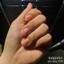 달님네일