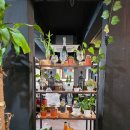 세븐일레븐거제아주용소점 | [거제아주동밥집] 현지 분위기 가득한 인도 요리 전문점, 거제 '네팔스토리' 방문 후기