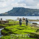 성산.오조 지질트레일 이미지