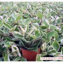 상훈농장2 이미지