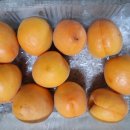 케이비농장 이미지