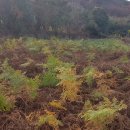 남해-221 이미지