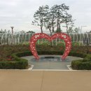 금강수변공원1 이미지