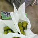 안성인삼농협 본점 이미지