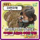 오감만족 책 탐험 | 주말교육 걱정 끝! 숲파티포레 유아 초등 숲체험, 구매자 후기로 본 만족 비법
