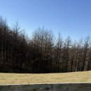 구남매목장 이미지