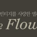 오투 플라워 이미지