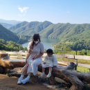 스타인목장 이미지