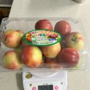 시후농장 이미지