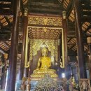 (주)판타게이트 | 치앙마이 가볼만한곳 왓판따오 쉽게 가는법 입장료 복장규정