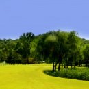 인천국제골프연습장 이미지