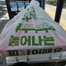 빽보이피자대구동천점 | [대구/지산범물동] 백종원의 빽보이피자 대구지산범물점 포장 내돈내산 솔직후기｜야구장 직관하면서...