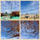 청소초등학교 이미지