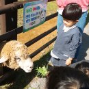 유현목장 이미지