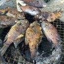 물소낭밧작은집 이미지