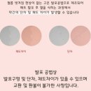 오천 초등학교 병설 유치원 이미지