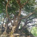 주도 1 주도1구경로당 이미지